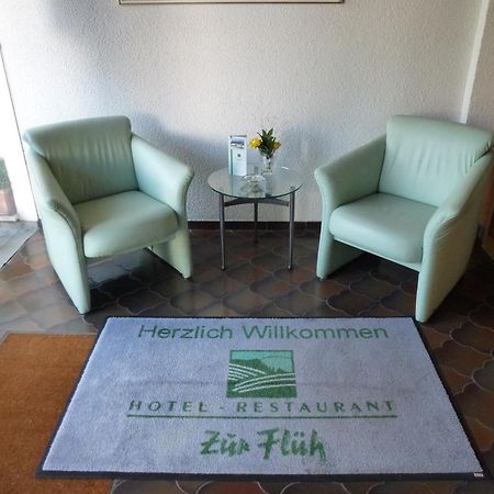 Hotel Zur Flueh Bad Säckingen Exteriér fotografie